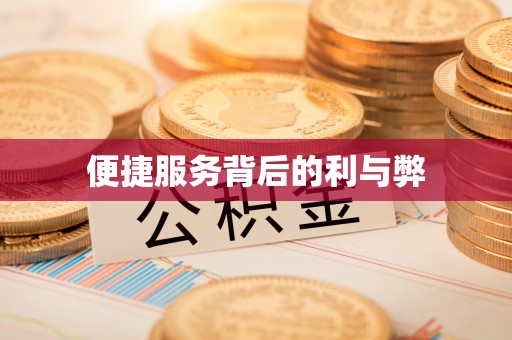 高阳便捷服务背后的利与弊