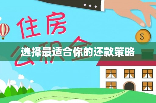 高阳选择最适合你的还款策略
