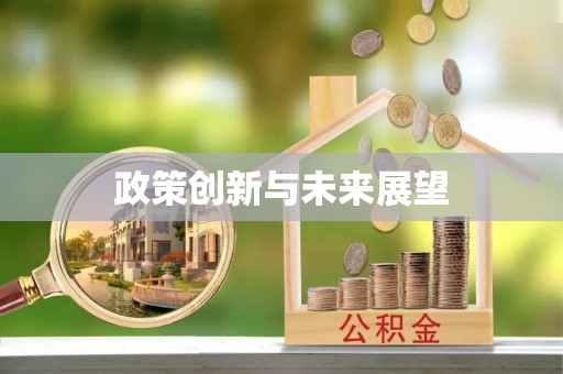 高阳政策创新与未来展望