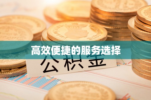 高阳高效便捷的服务选择