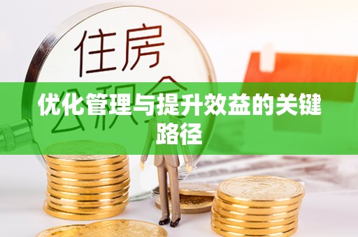 高阳优化管理与提升效益的关键路径