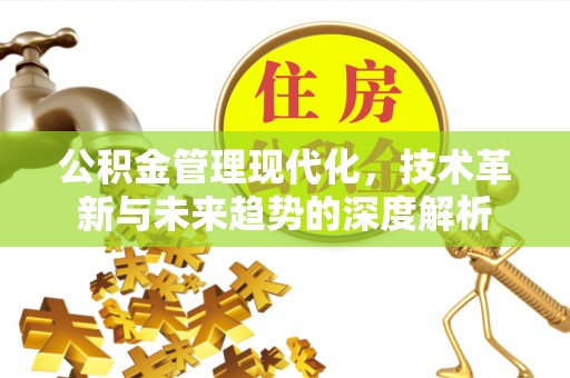高阳公积金管理现代化，技术革新与未来趋势的深度解析